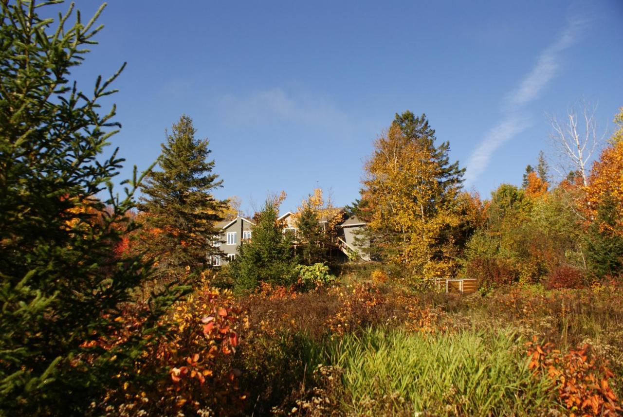 Top Of Algonquin Bed And Breakfast Mattawa Ngoại thất bức ảnh